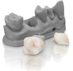 VarseoSmile Crown Plus